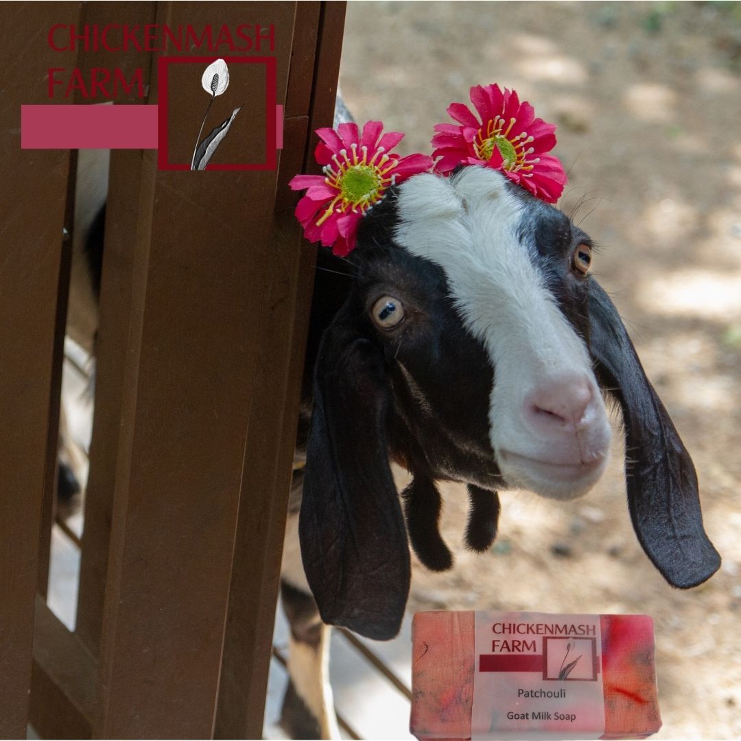 Patchouli Goat Milk Soap