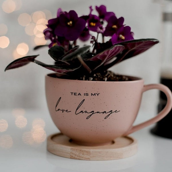 teapot collection