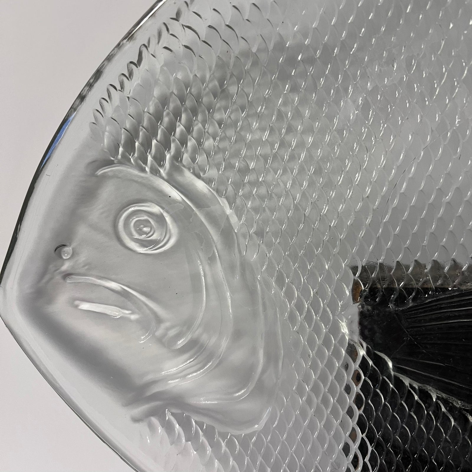 Clear glass fish-shaped object with textured surface on a white background