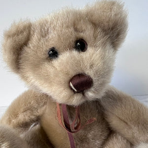 Close-up of a beige teddy bear with a white background