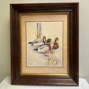 Mallard Duck Print Signed Anni Moller Matted Wood Frame
