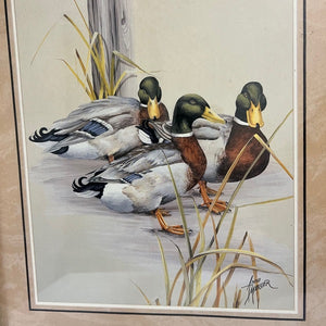 Mallard Duck Print Signed Anni Moller Matted Wood Frame