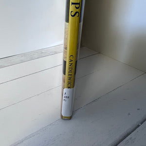 Book titled 'PS' by Candlewick Press on a white surface