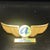 AirTran Airways Junior Flight Crew Pilot Wings Pin Vintage Plastic