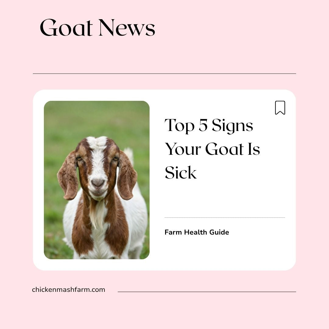 Top 5 Signs Your Goat Is Sick