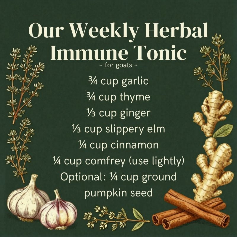 herbal immune tonic for goats