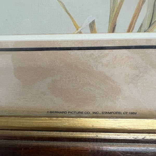 Mallard Duck Print Signed Anni Moller Matted Wood Frame