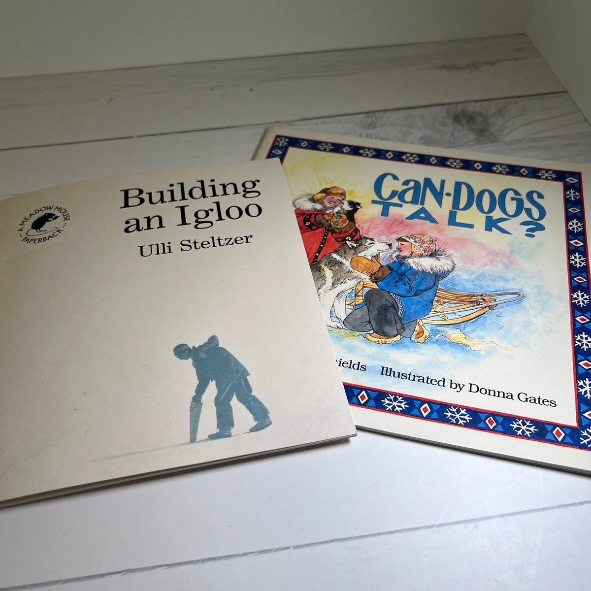 Two children's books lying on a white wooden surface: 'Building an Igloo' by Ulli Steltzer on the left, and 'Can Dogs Talk?' illustrated by Donna Gates on the right.