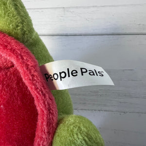 Disney Parks Sea Turtle Plush Aurora World People Pals 7 Inch