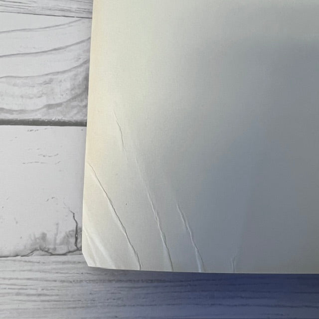 Close-up of a textured white surface with a blurred background