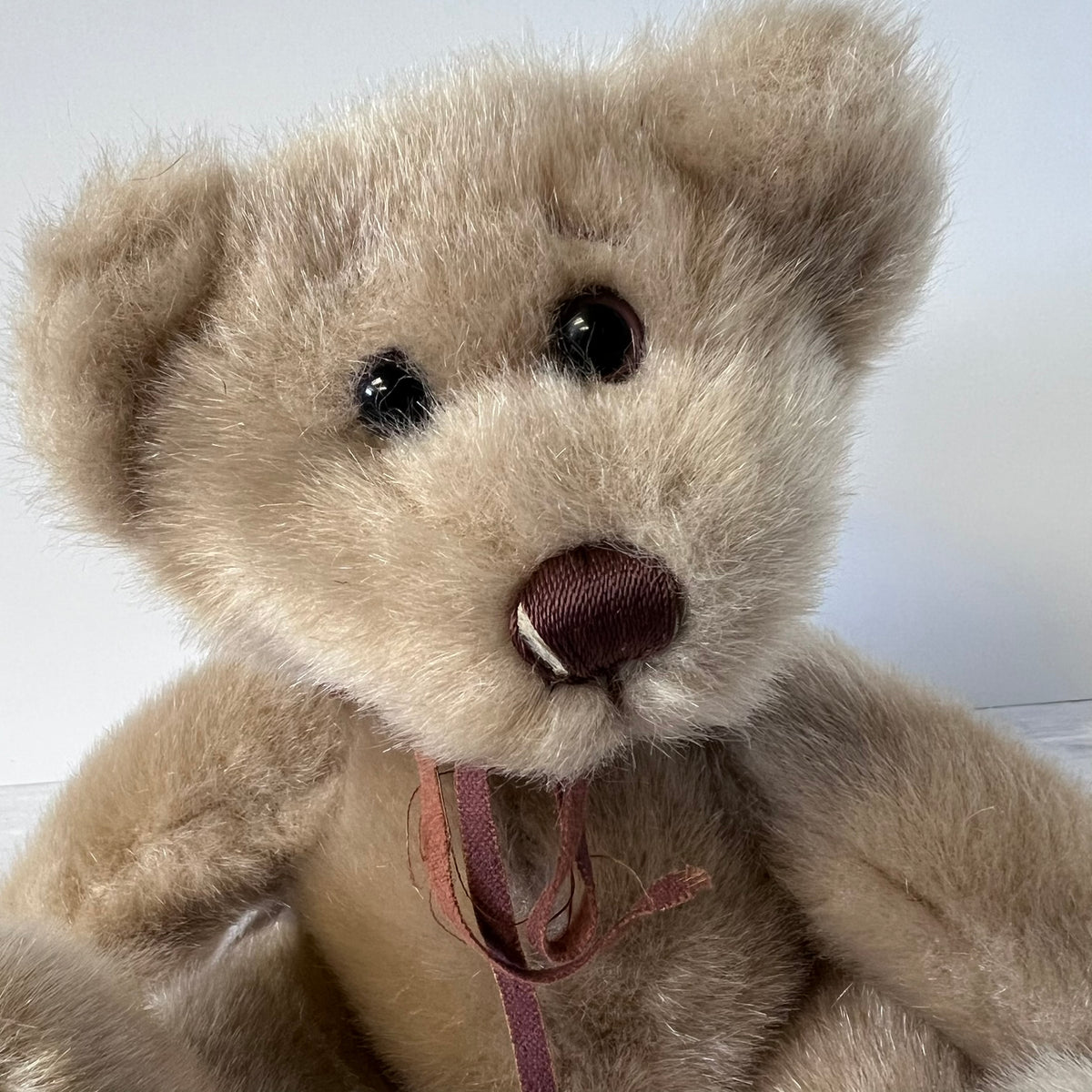 Close-up of a beige teddy bear with a white background