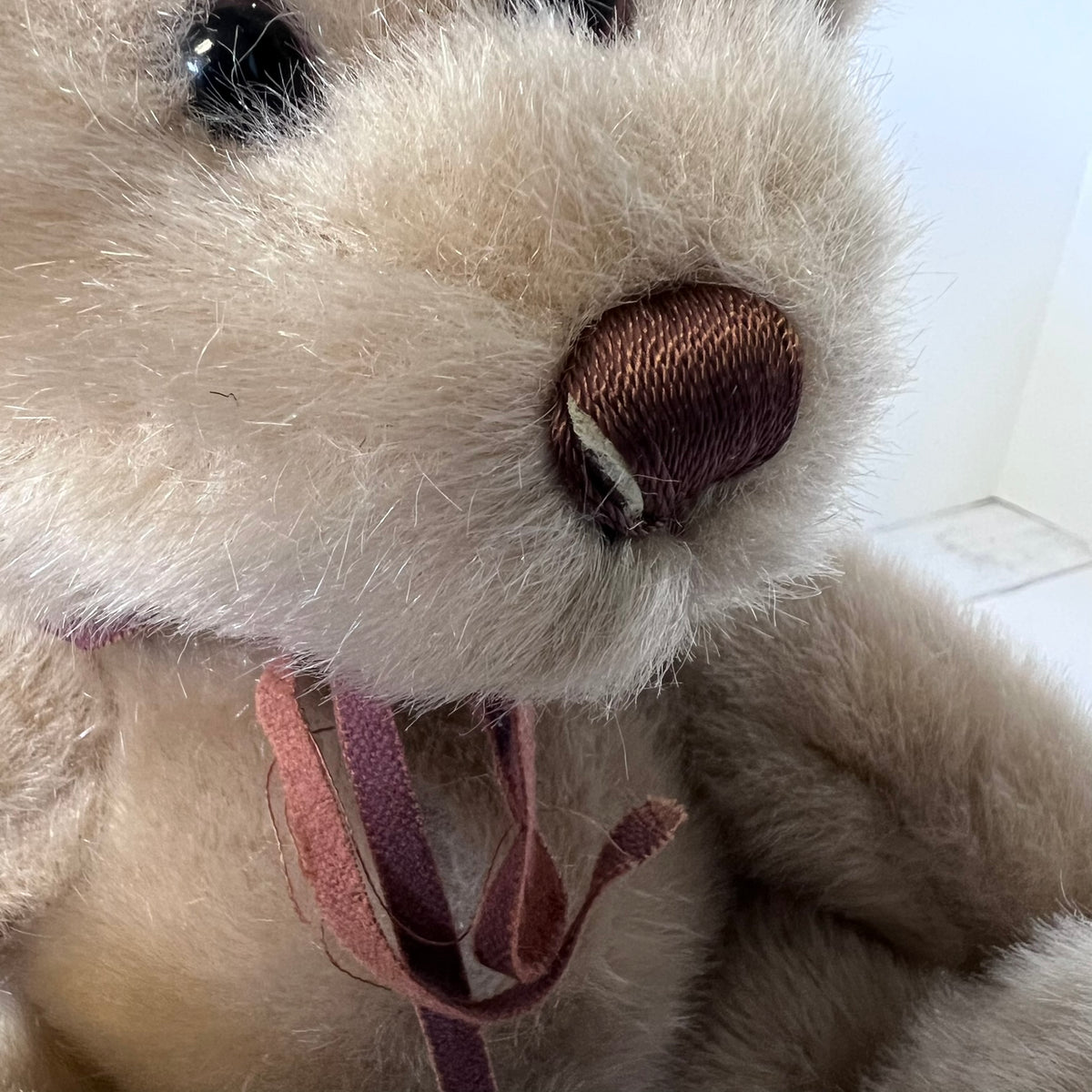 Close-up of a plush toy resembling a white mouse with a brown nose.