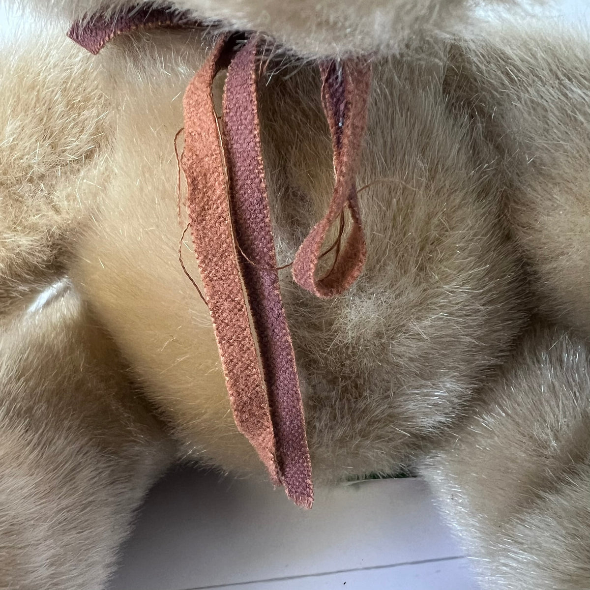 Close-up of a teddy bear fur with a pink bandage on a white surface
