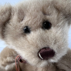Close-up of a teddy bear's face with a soft focus on the background