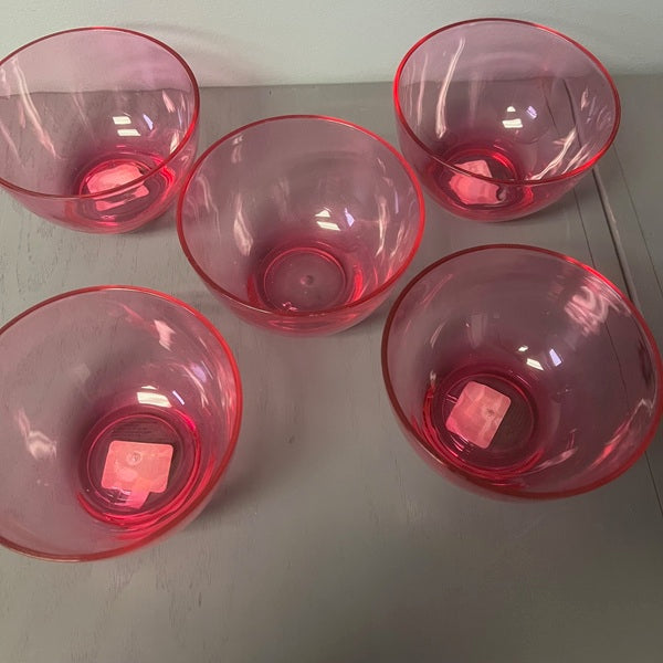 JC Penney Sheer Nappy Power Pink Bowls Set of 5 Plastic Bowls