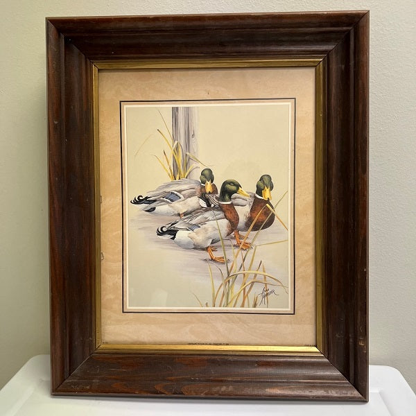 Mallard Duck Print Signed Anni Moller Matted Wood Frame