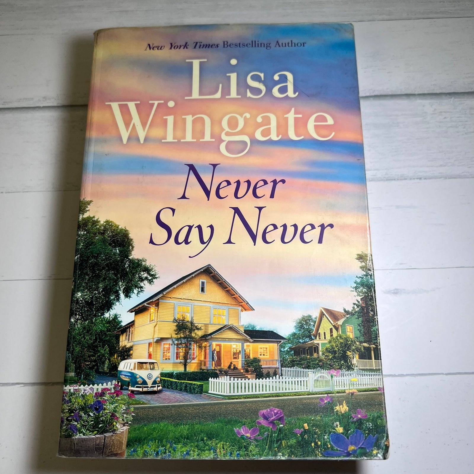 Never Say Never by Lisa Wingate Paperback Novel 2019