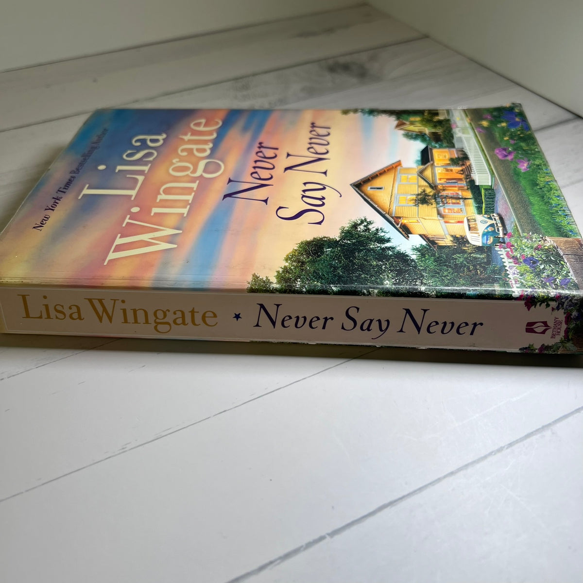 Never Say Never by Lisa Wingate Paperback Novel 2019