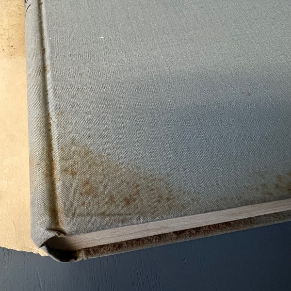 Statesmen Of The Lost Cause Jefferson Davis And His Cabinet Hendrick 1939 Book