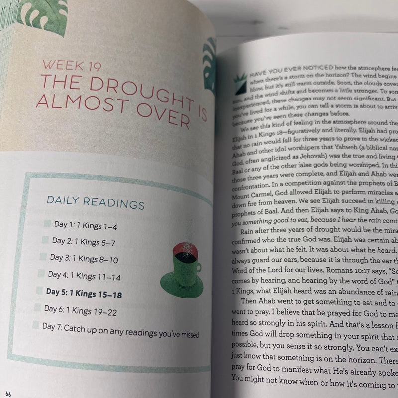 Open book with daily readings and a watercolor illustration of a green plant and red flower.
