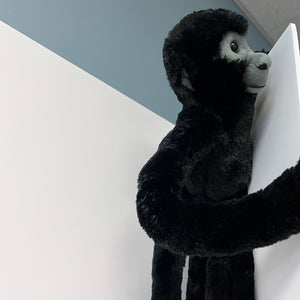 Black plush monkey toy holding a white cube against a gray and white background