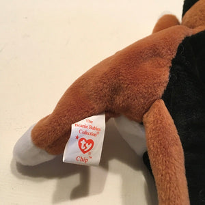 TY Beanie Baby Chip the Cat