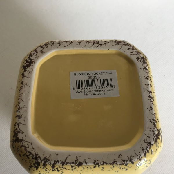 Blossom Bucket Love You To The Moon And Back Yellow Crock