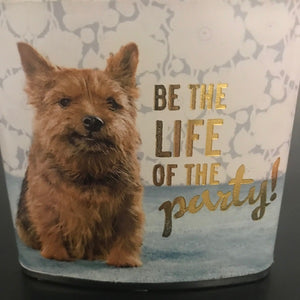 Demdaco Life Of The Party Flask | Party Dog Decorative Flask