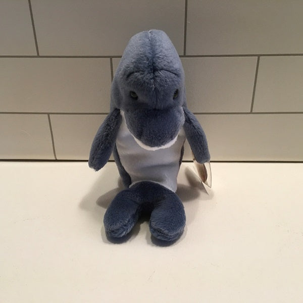 echo the dolphin beanie baby