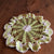 Handmade Green and White Round Doily 9.5" Crocheted Doily