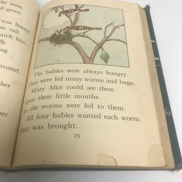 Our Friends at Home and School by White and Hanthorn 1930