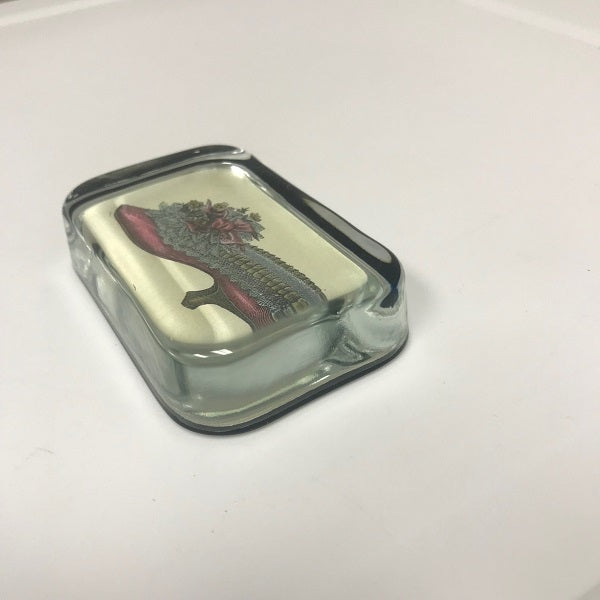 Rectangle Clear Glass Paperweight Victorian Shoe Photo Design