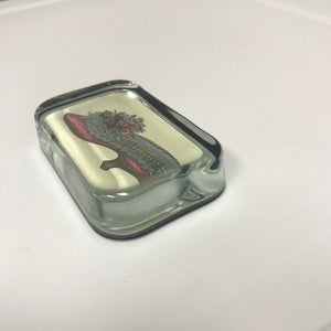 Rectangle Clear Glass Paperweight Victorian Shoe Photo Design