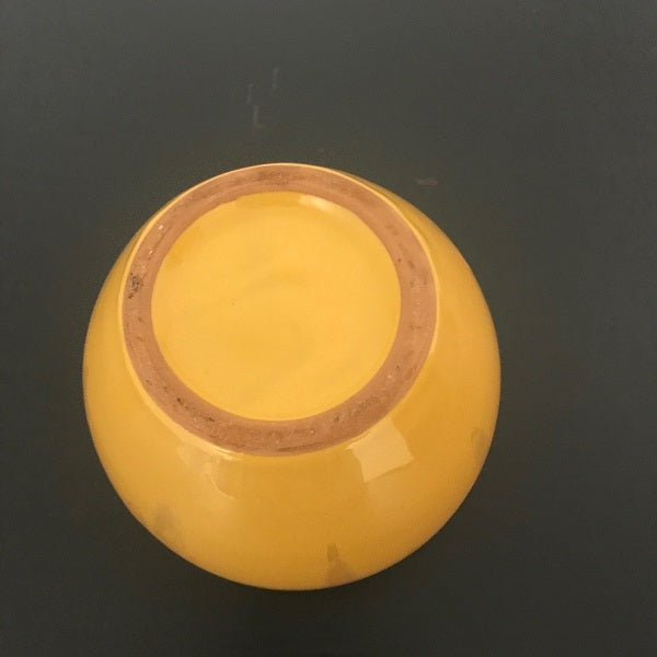 Round Yellow Ceramic Flower Pot Planter