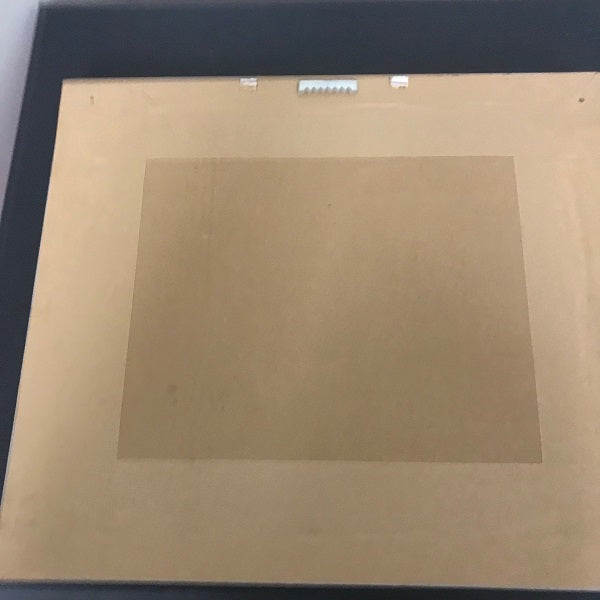 Basket of Fruit 16x14 Framed Wall Décor Art Print Set of 2 backing