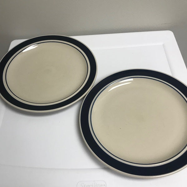 St. Croix Dinner Plate with Blue Band Set of Two 10.5in Plate
