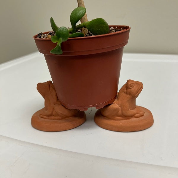 Terra Cotta Frog Pot Risers Set of 2 Small 2 inch