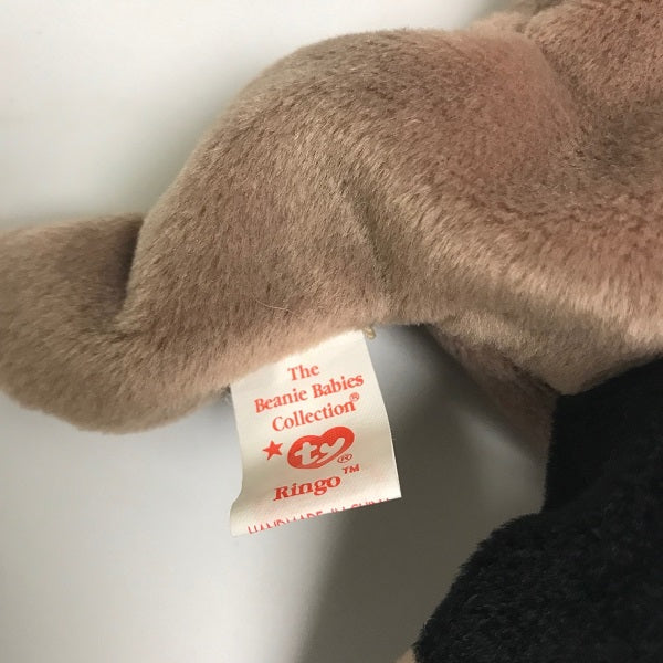 Ty Beanie Baby Ringo Raccoon 1995 Plush with Tag Protected