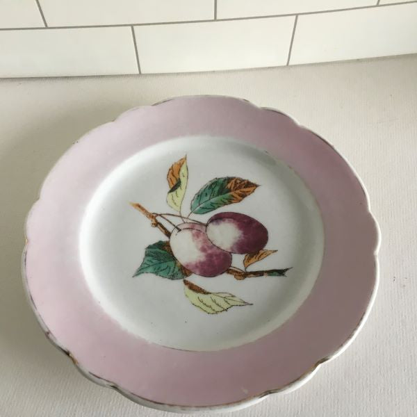 Vintage China Plate With Hand Painted Fruit Pink Trim 8
