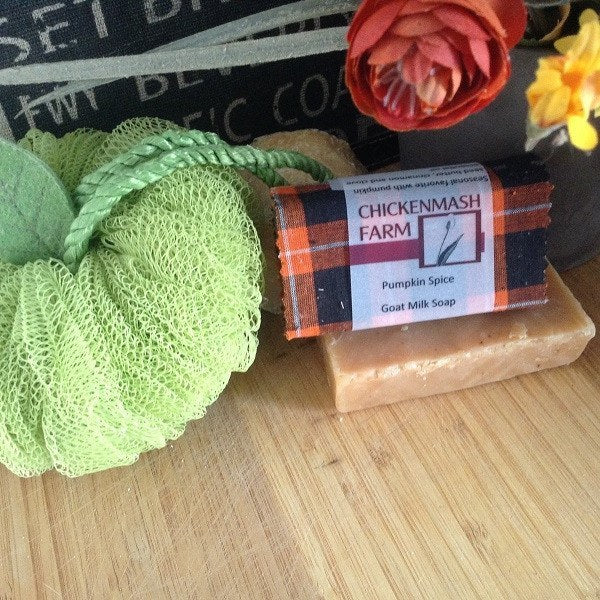 Fall Scented Soap | Pumpkin Goat Milk Soap | Pumpkin Spice-Chickenmash Farm